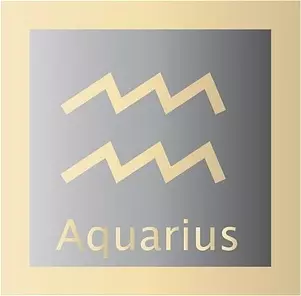 Aquarius Zodiac SIgn
